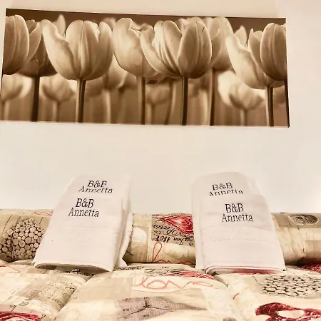 Annetta Bed & Breakfast *