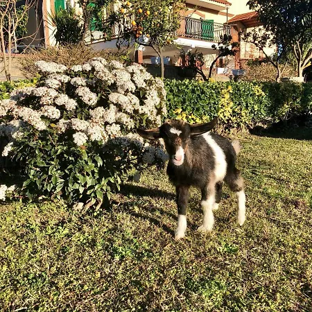 Annetta Bed & Breakfast Ercolano